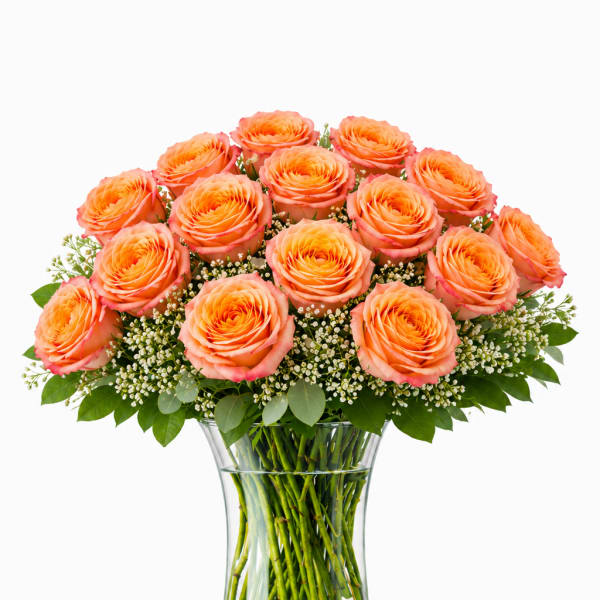 2 Dozen Free Spirit Roses