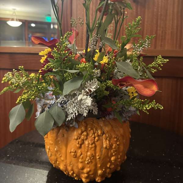 Thanksgiving