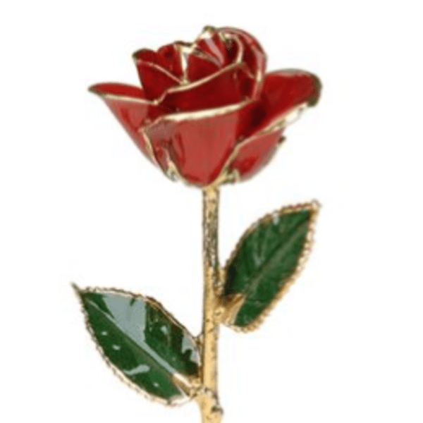 Single red rose with gold-edged petals and green leaves