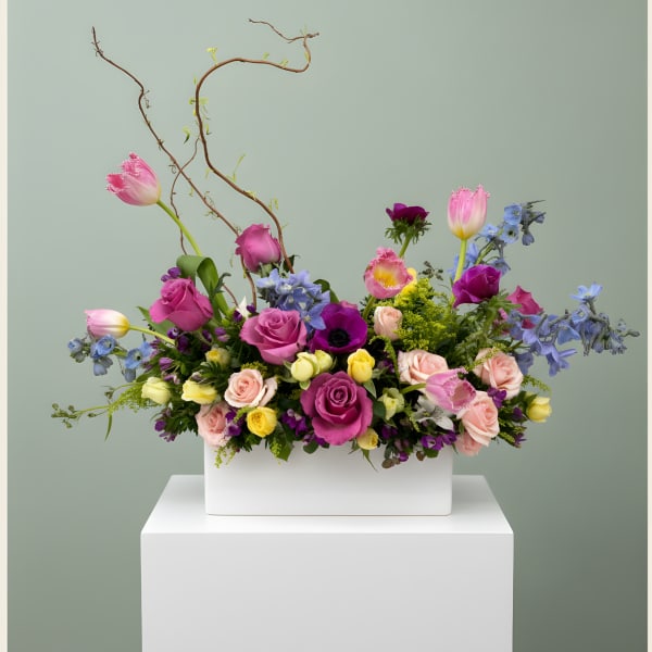 LF 395 Queen Bee