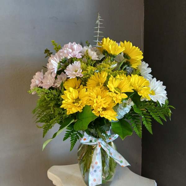 Daisies - Dizzy Dozen