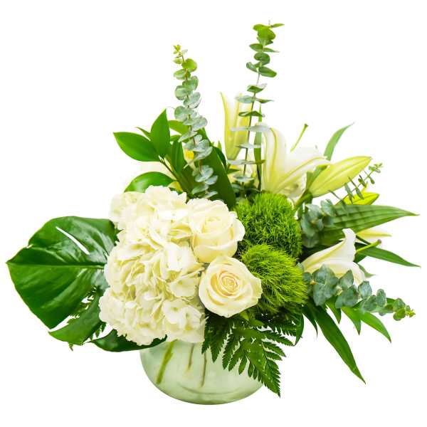 White roses and hydrangeas in a glass vase with green foliage