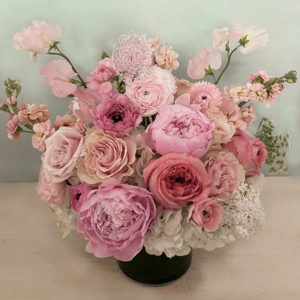 The Paula Peony