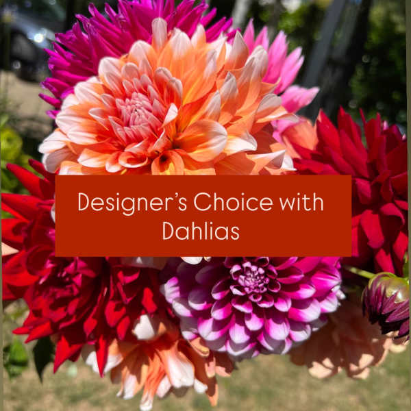 Designer’s Choice with Dahlias