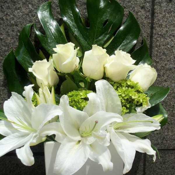 White roses and lilies in a white vase with dark green leaves