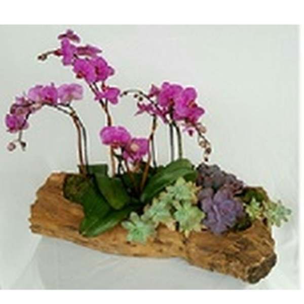 Purple orchids arranged in a wooden planter with succulents