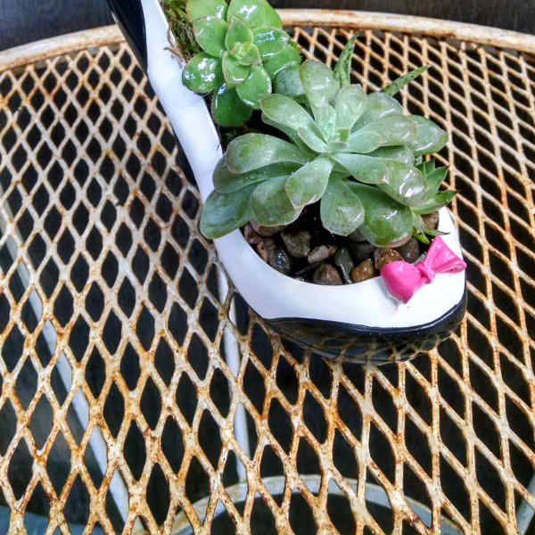 Succulent arrangement in a high-heeled shoe planter with a pink bow