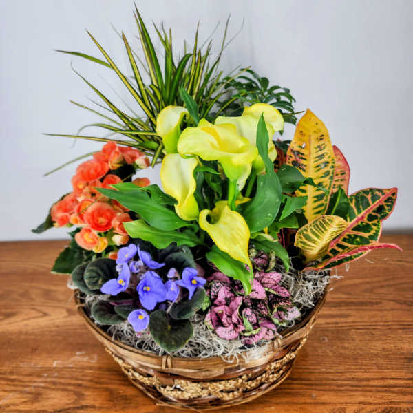 Blooming Garden of Joy Basket