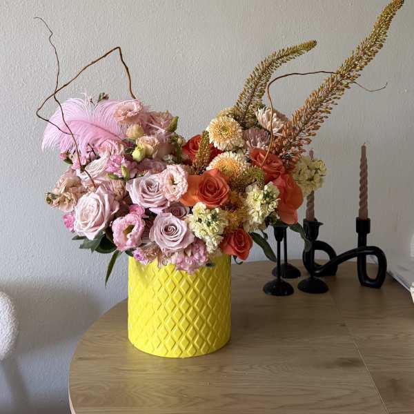 Apricot Dream