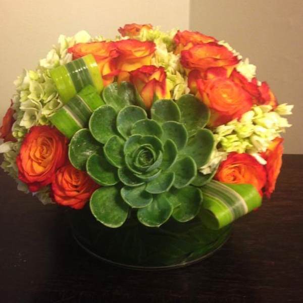 Orange roses arranged around a large green succulent in a low vase