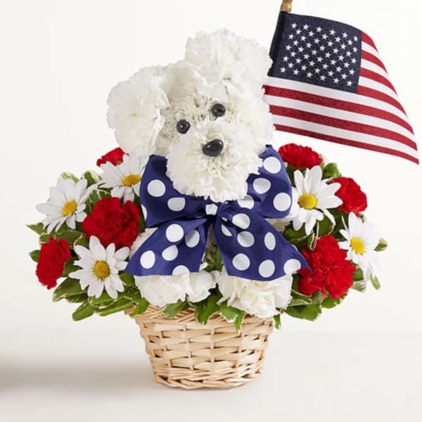 Yankee Doodle Doggie™