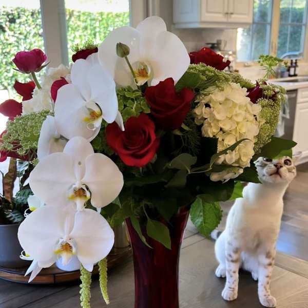 Red roses and white orchids in a tall red vase