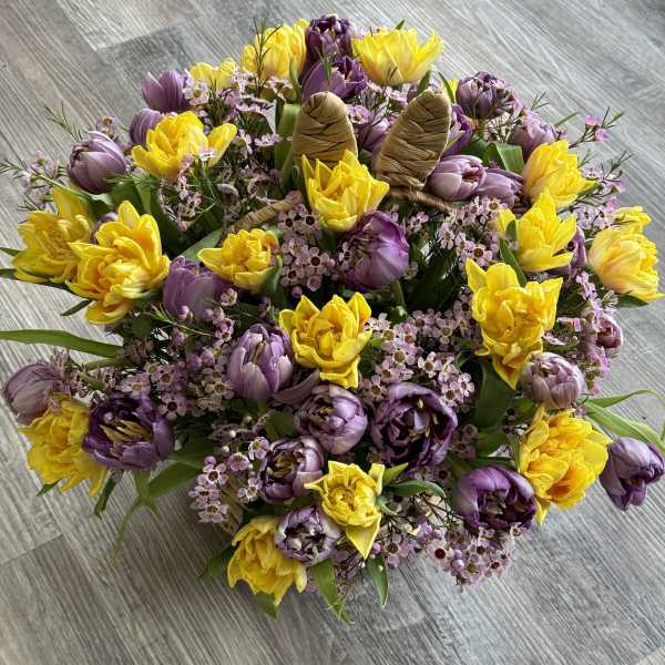 Bouquet of yellow and purple tulips with small pink filler flowers