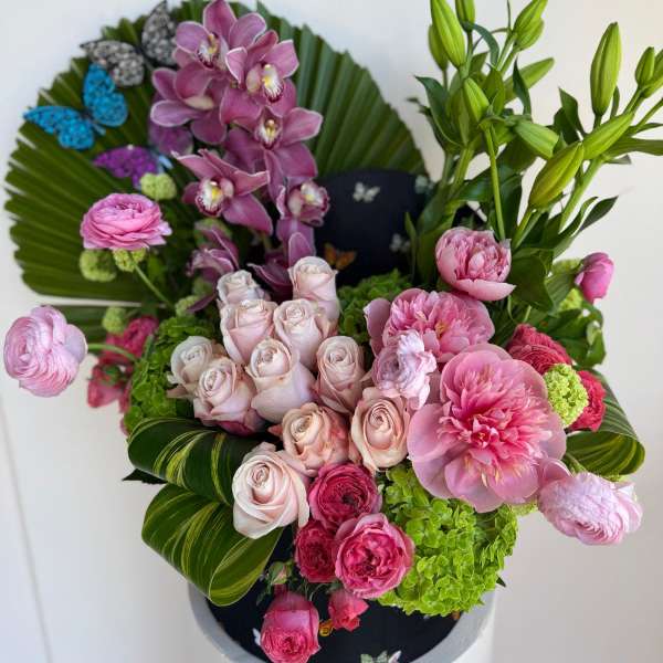 Spring Serenade