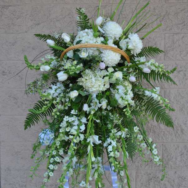 White Sympathy Cascade