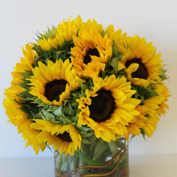 Compact bouquet of bright yellow sunflowers in a clear glass vase with stones at the bottom
