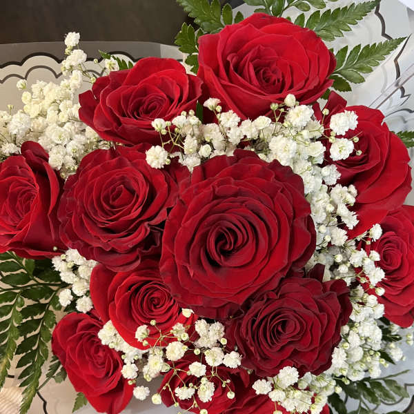 Bouquet of red roses with white baby's breath in decorative wrap