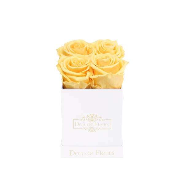Petite White Square Preserved Rose-Yellow