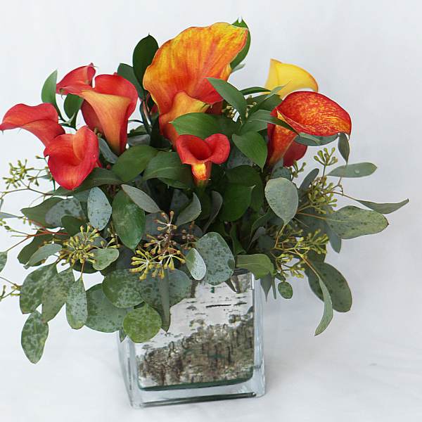 Orange and red calla lilies in a clear glass vase