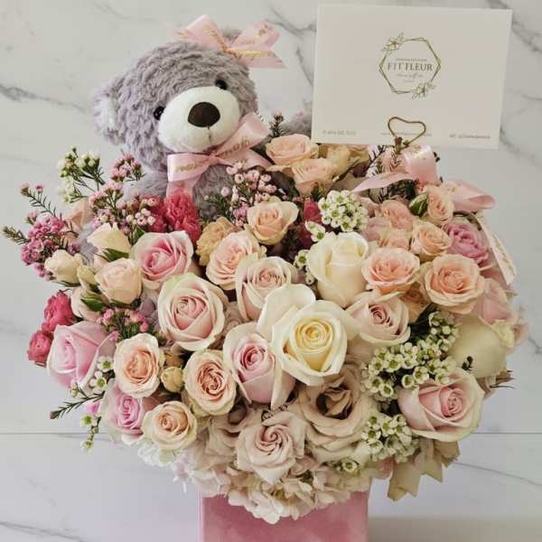 Baby Girl/Boy