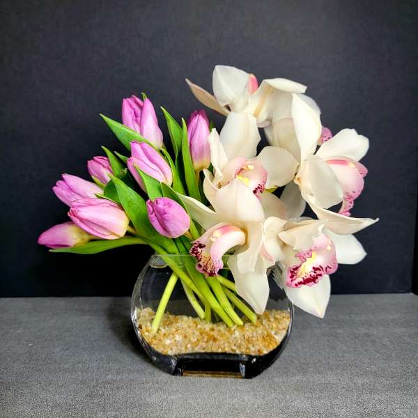 Orchid Breeze