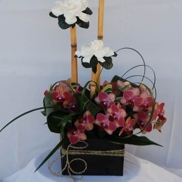 Orchid arrangement in a black box with tall bamboo stems and white blooms