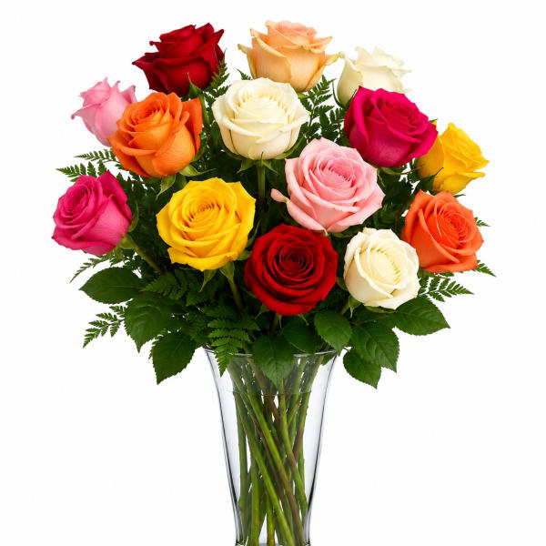 1 Dozen Rainbow Wish Roses