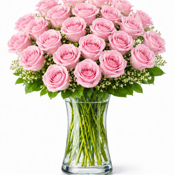 2 Dozen Light Pink Roses
