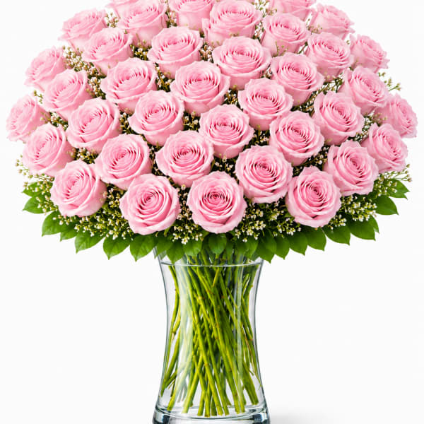 3 Dozen Pink Roses