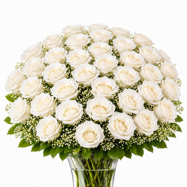 3 Dozen White Roses