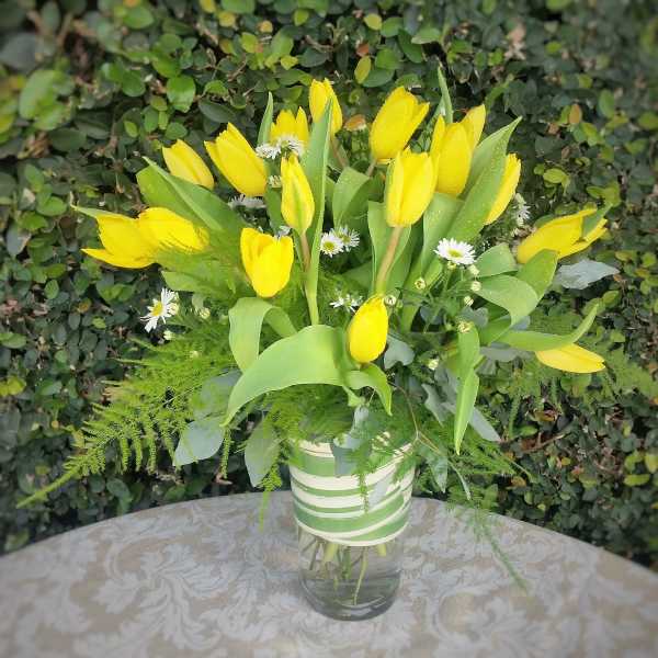 Yellow Country Spring