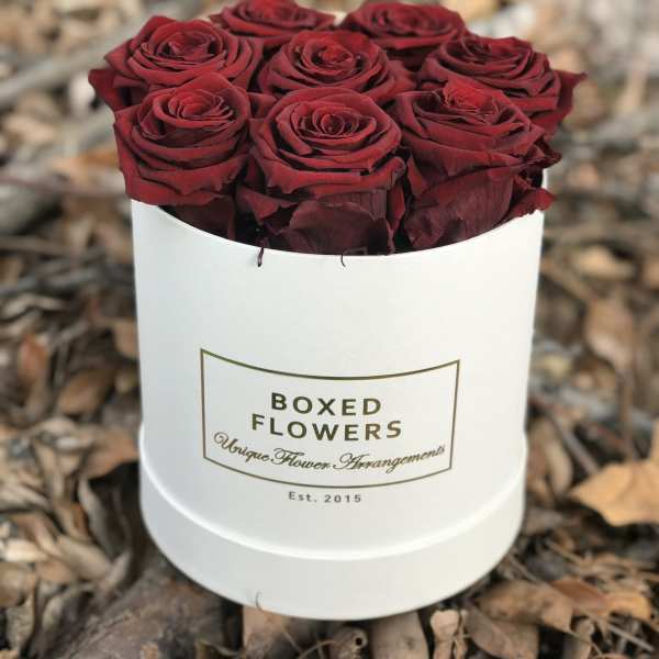 Red roses arranged in a white round box