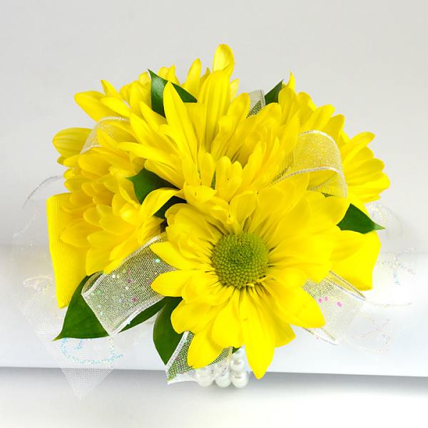 Bright yellow daisy bouquet with ribbon and clear wrap