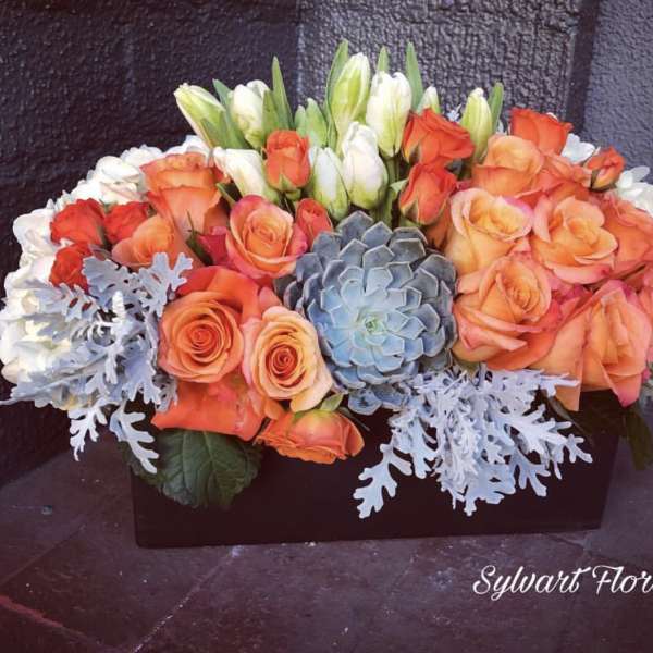 Orange and white roses arranged with a blue succulent in a rectangular box