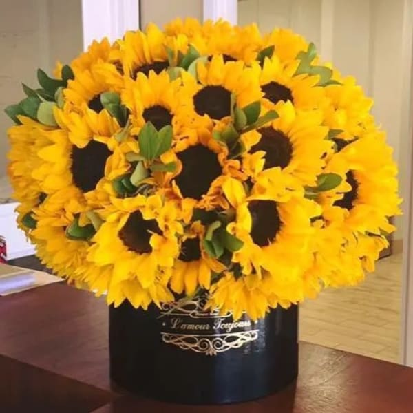 Large dome of sunflowers arranged in a black hatbox-style container