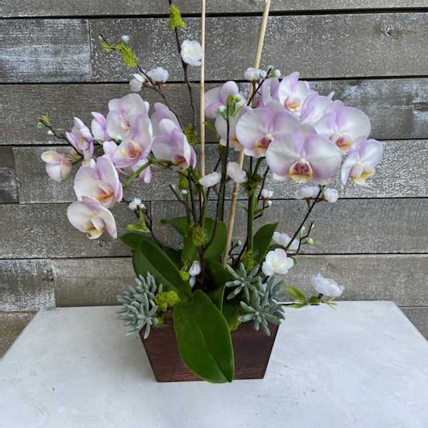 Pink and white orchids arranged in a rectangular wooden planter.
