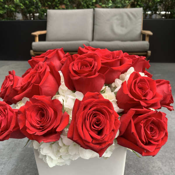 Red roses arranged in a white square vase with white hydrangeas