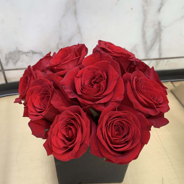 Red roses arranged in a black square vase