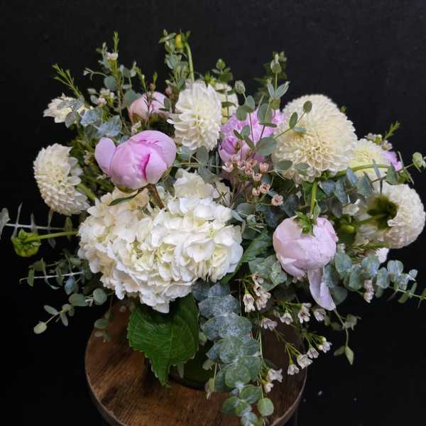 queen fleur Peony