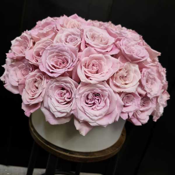 Cotton Candy Roses