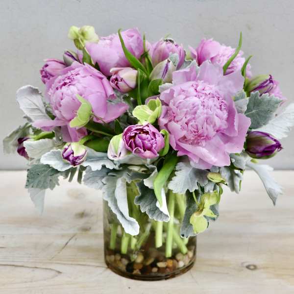 Peony & Tulip - Glendale Flowers