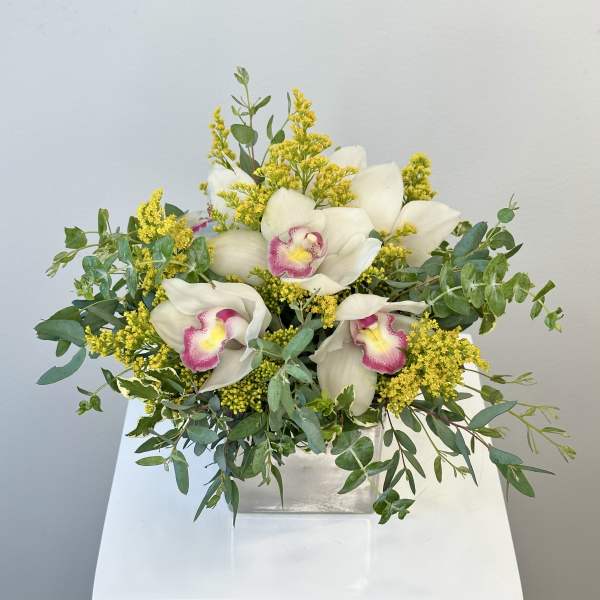 White orchids with yellow filler in a square vase