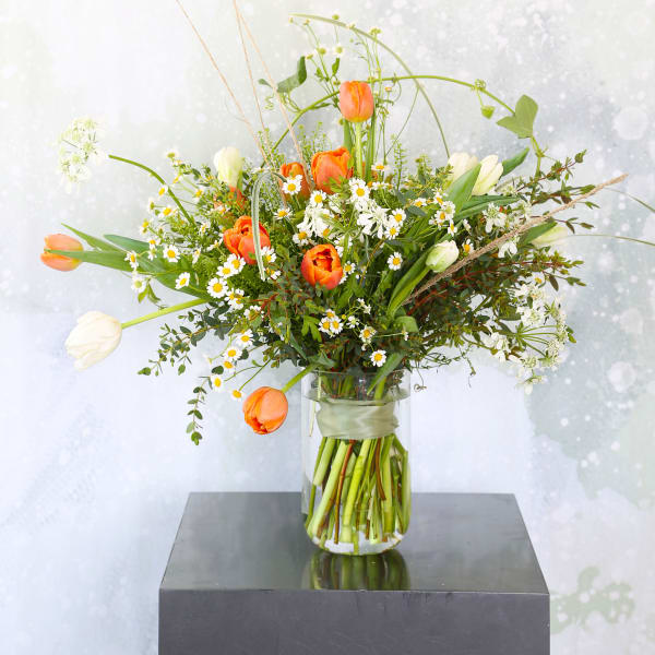 Spring Tulip