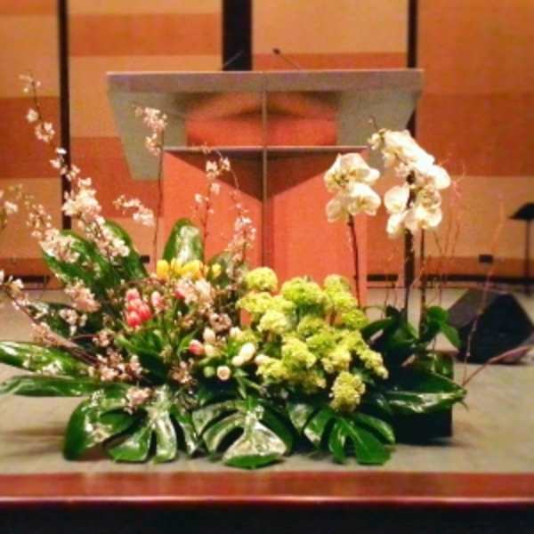 Large green and white stage floral arrangement with orchids and hydrangeas in front of a podium