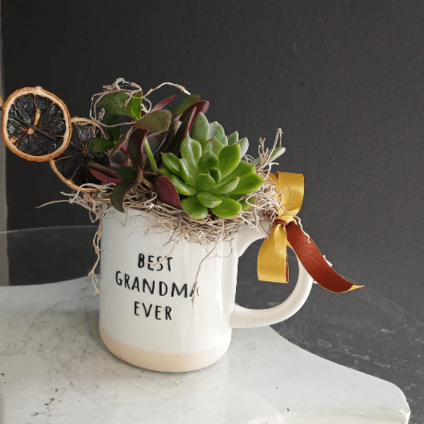 Best Grandma Ever Succulent with Oranges