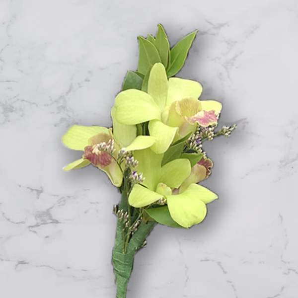 Small lime-green orchid boutonniere with pink accents