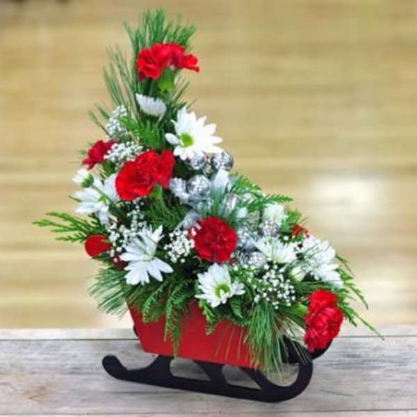 Red and white floral arrangement in a red sleigh container
