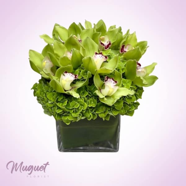 Green orchid arrangement in a square glass vase