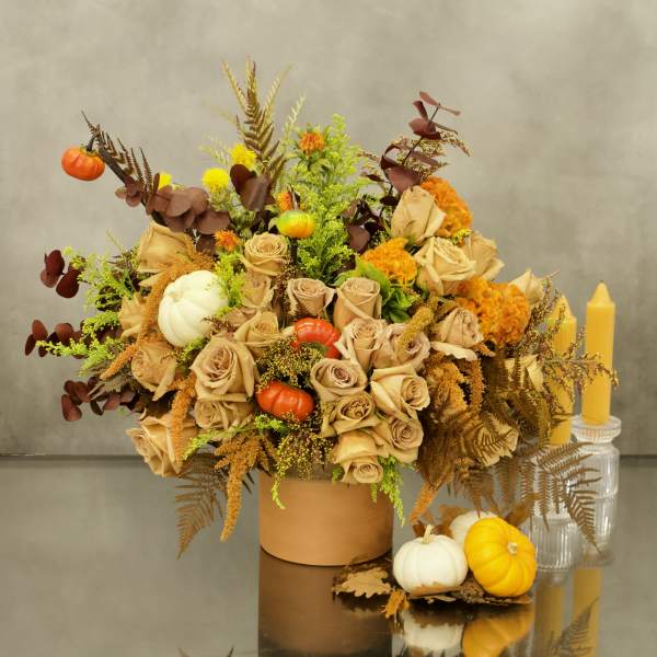 Designers Choice - Fall
