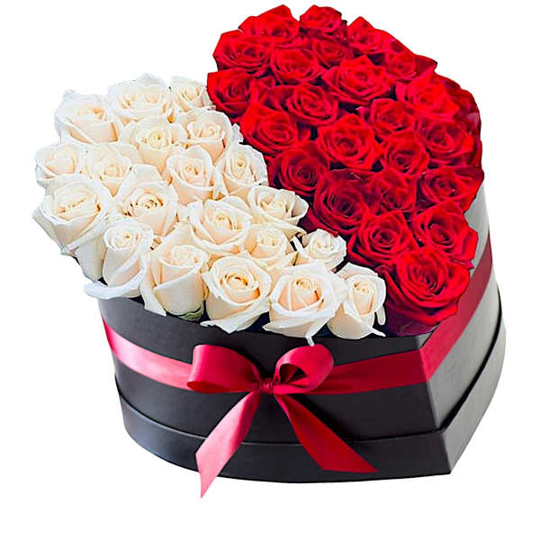 Heart-shaped box of red and white roses with a pink ribbon